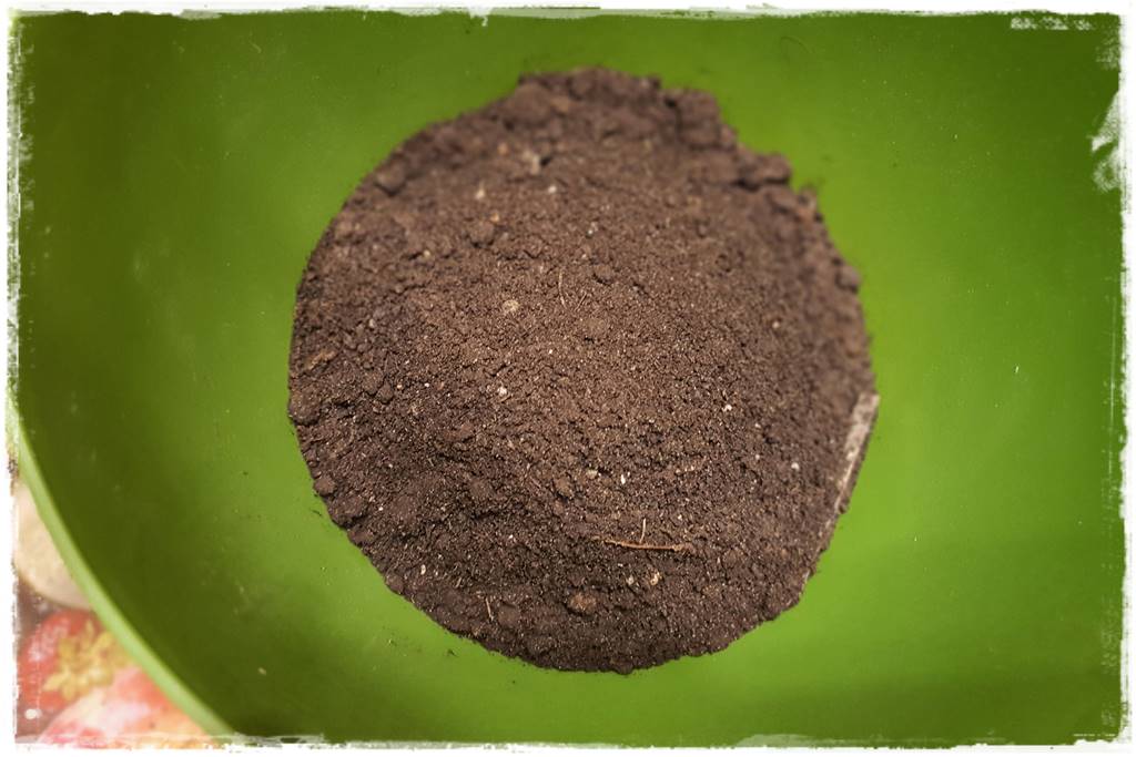 Przesadzanie roślin doniczkowych 4 Przesadzanie roślin doniczkowych 4