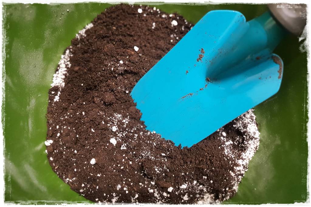 Przesadzanie roślin doniczkowych 4a Przesadzanie roślin doniczkowych 4a