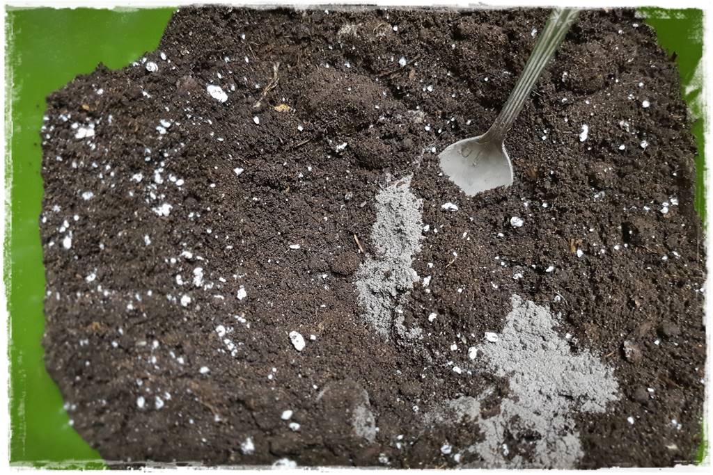 Przesadzanie roślin doniczkowych 6b Przesadzanie roślin doniczkowych 6b