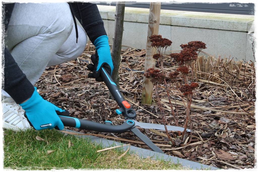 Przycinanie traw ozdobnych 10