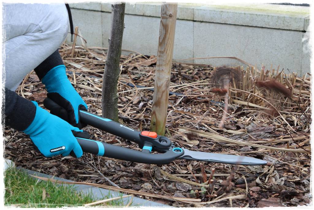 Przycinanie traw ozdobnych 10b