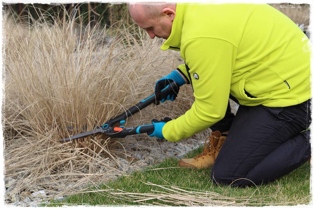 Przycinanie traw ozdobnych 12