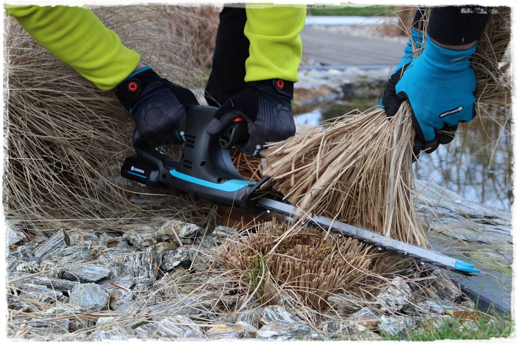 Przycinanie traw ozdobnych 14a