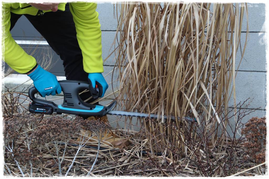 Przycinanie traw ozdobnych 15b