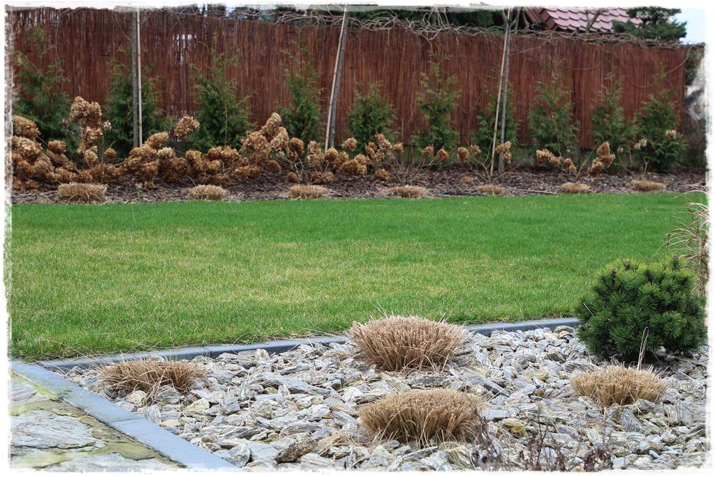 Przycinanie traw ozdobnych 17a