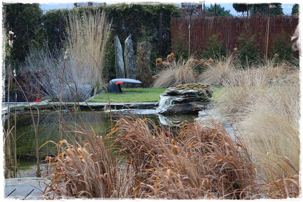 Przycinanie traw ozdobnych 1a