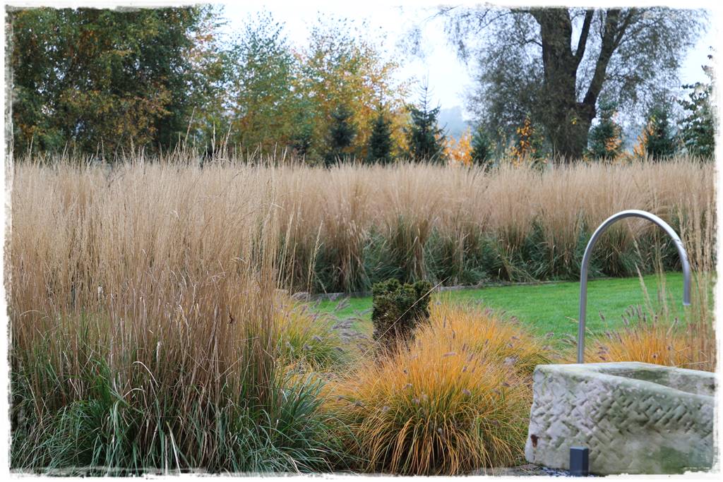 Przycinanie traw ozdobnych 2