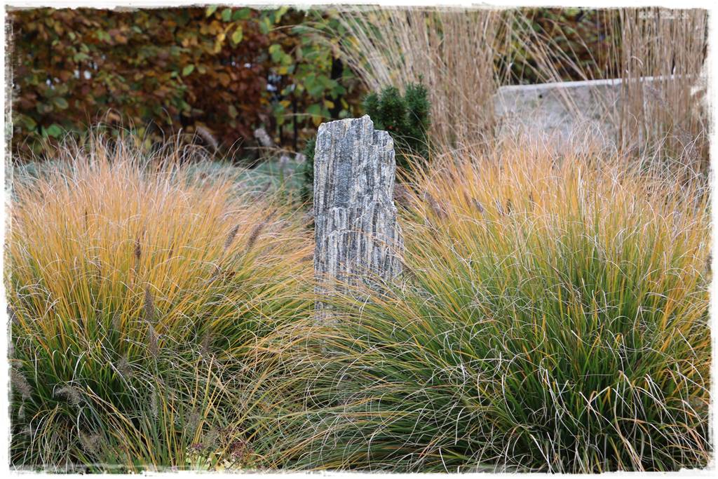 Przycinanie traw ozdobnych 2c