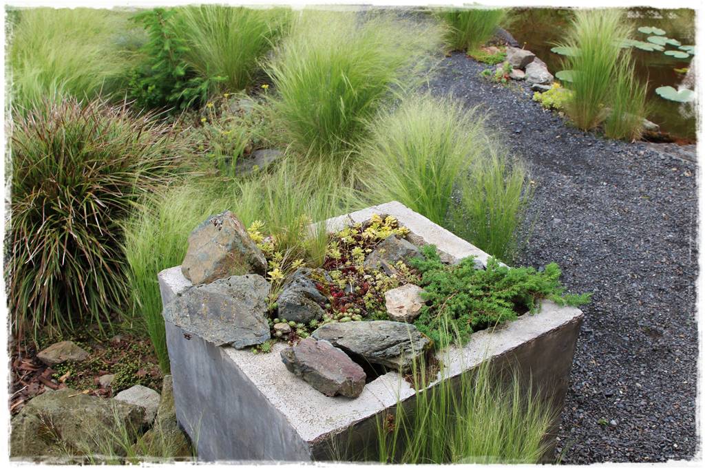 Przycinanie traw ozdobnych 2g