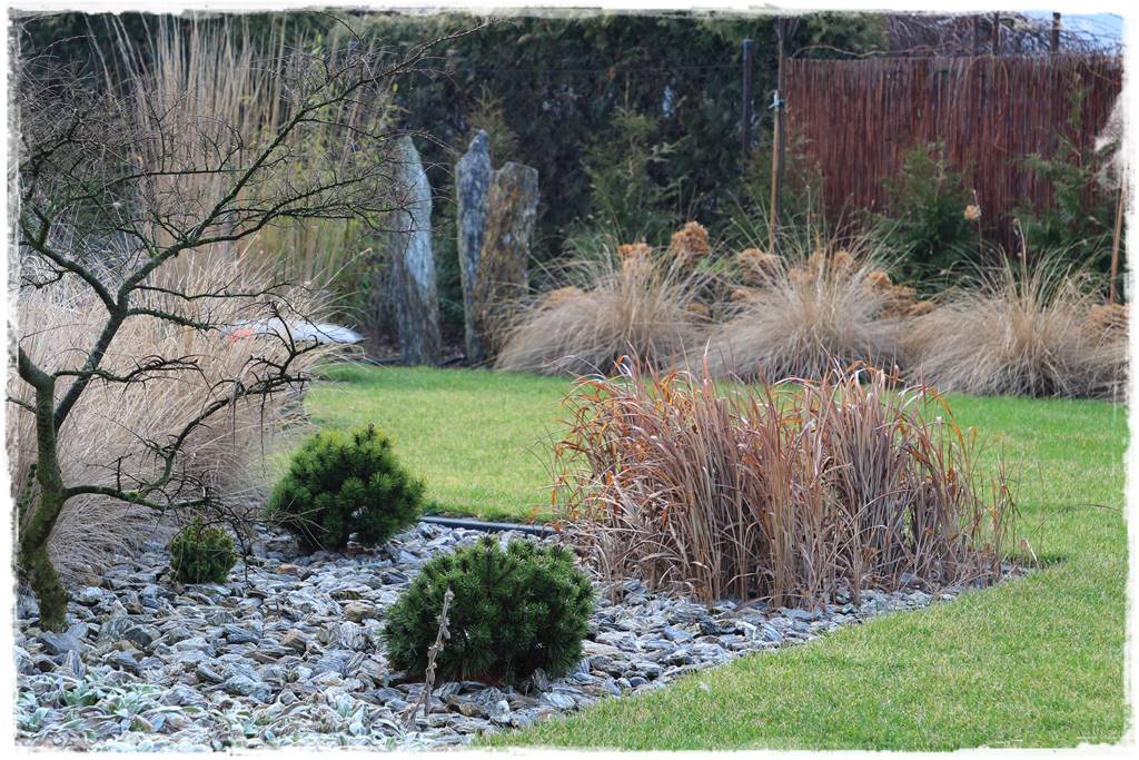 Przycinanie traw ozdobnych 4