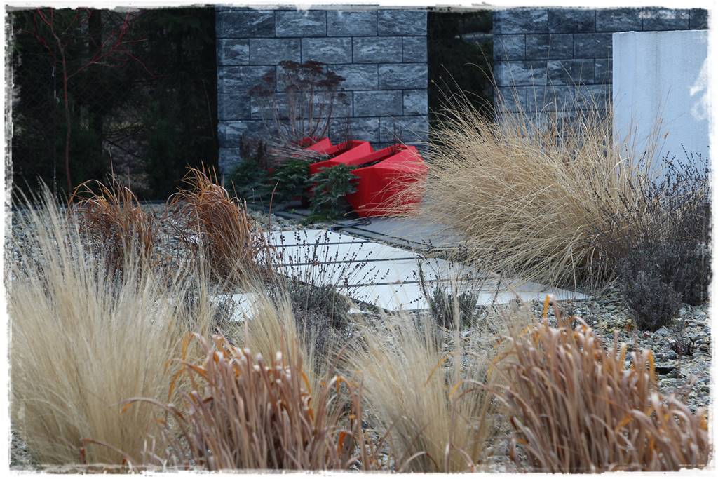 Przycinanie traw ozdobnych 4b