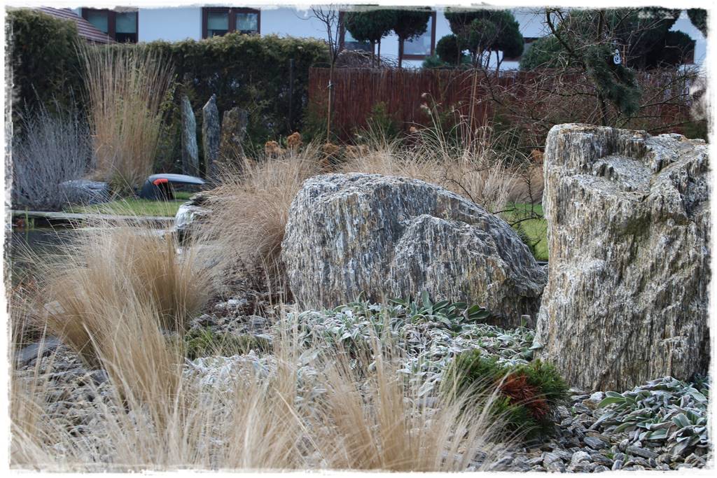 Przycinanie traw ozdobnych 4c