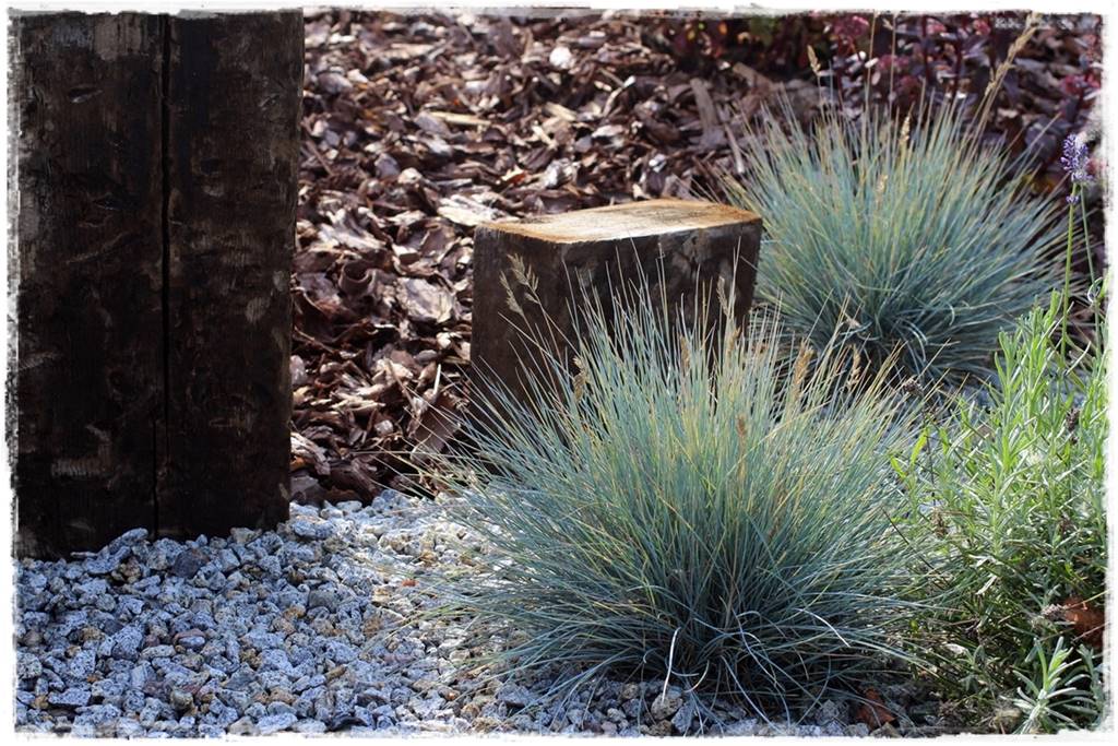 Przycinanie traw ozdobnych 7