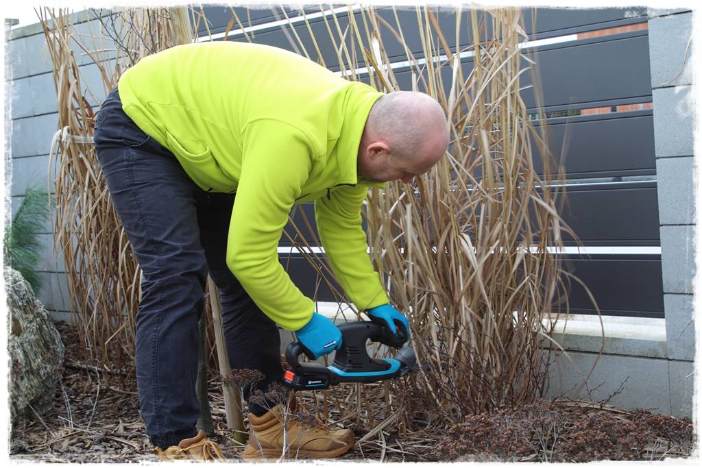 Przycinanie traw ozdobnych 8a