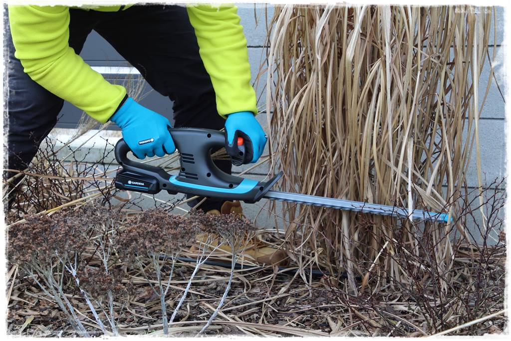 Przycinanie traw ozdobnych 8b