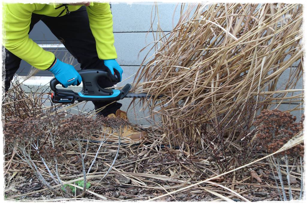 Przycinanie traw ozdobnych 8c