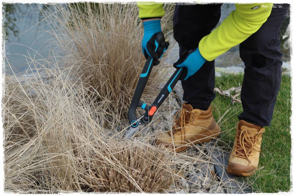 Przycinanie traw ozdobnych 9