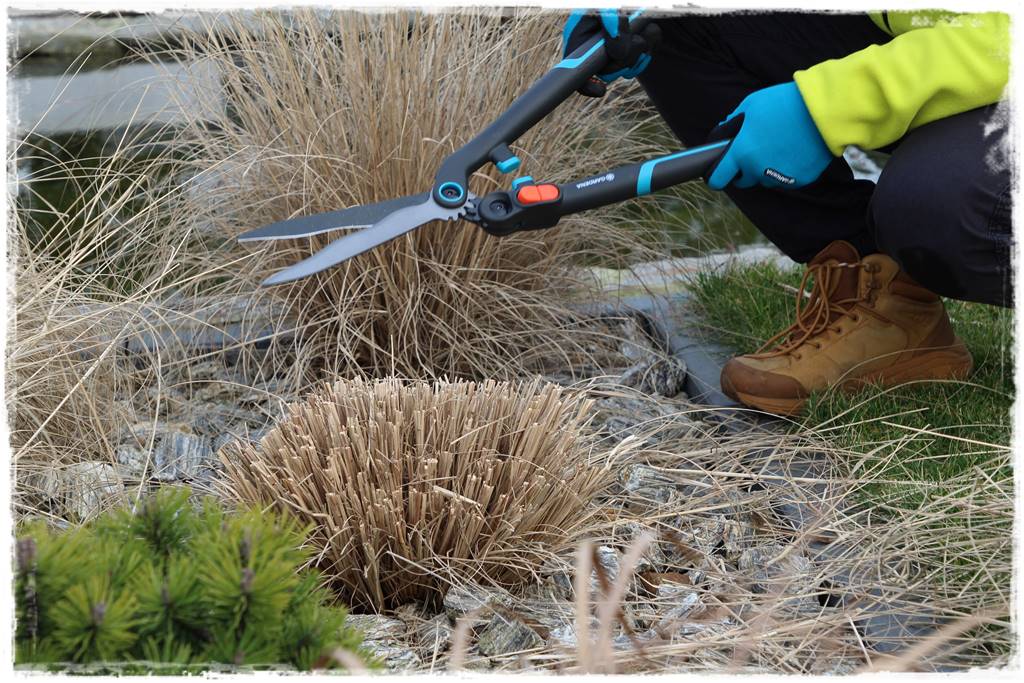 Przycinanie traw ozdobnych 9a