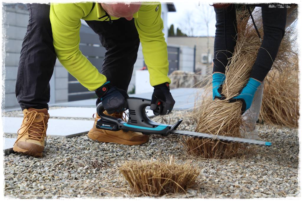 Przycinanie traw ozdobnych 9b