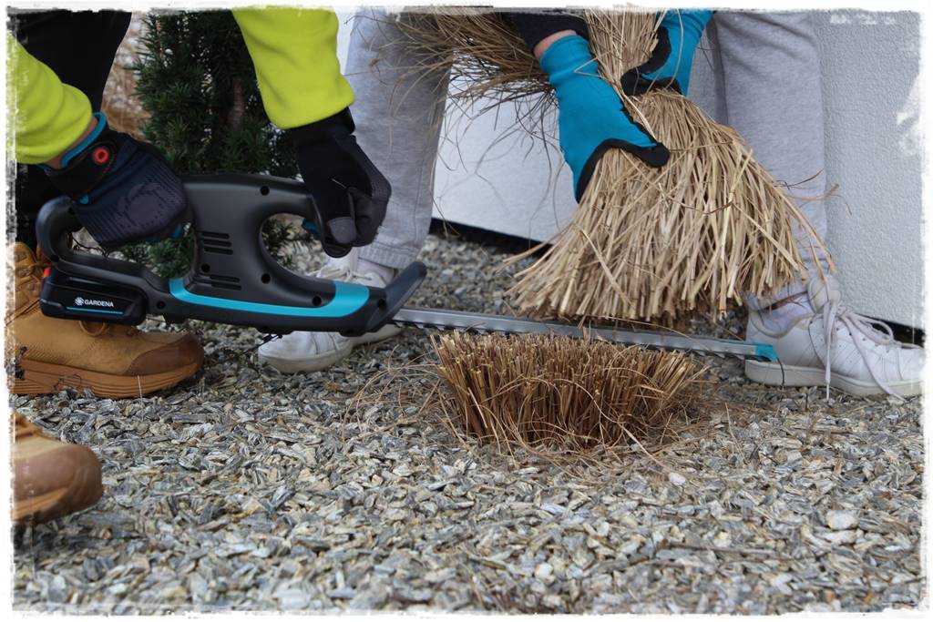 Przycinanie traw ozdobnych 9c