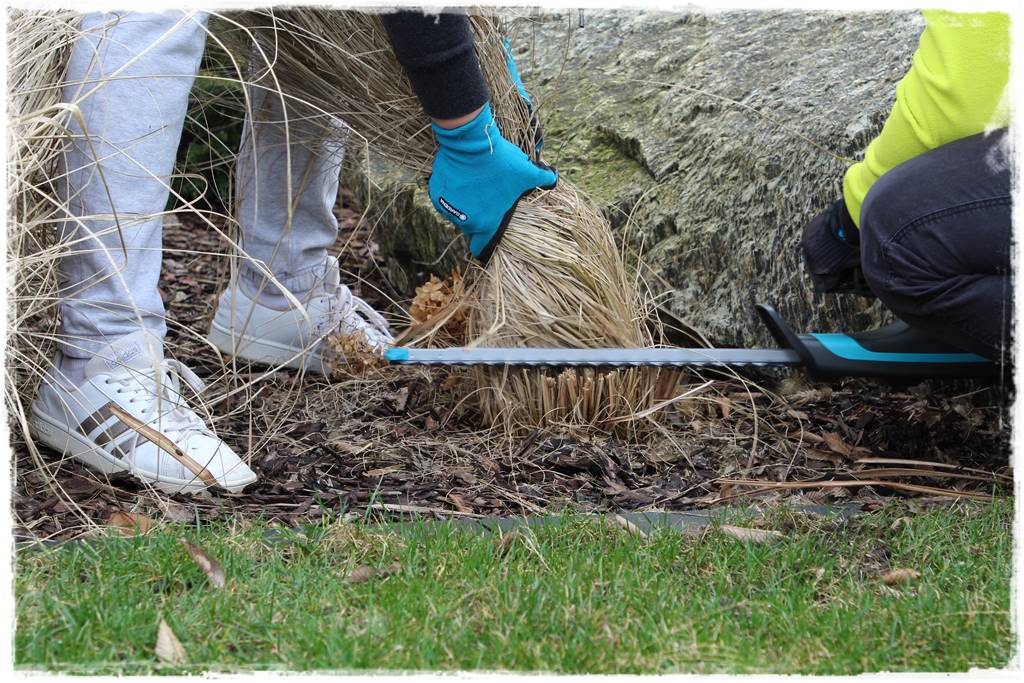 Przycinanie traw ozdobnych 9d