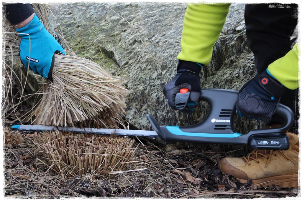 Przycinanie traw ozdobnych 9f