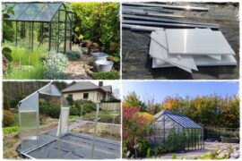 Szklarnia własnej roboty 0