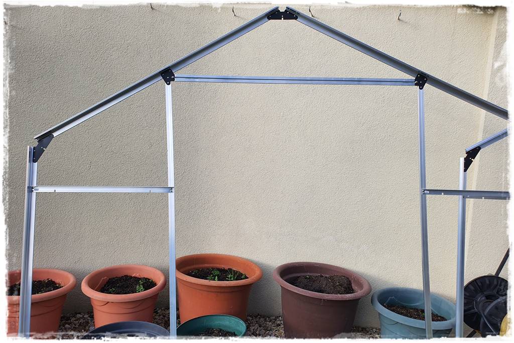 Szklarnia własnej roboty 16