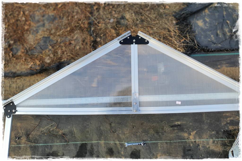 Szklarnia własnej roboty 18a Szklarnia własnej roboty 18a