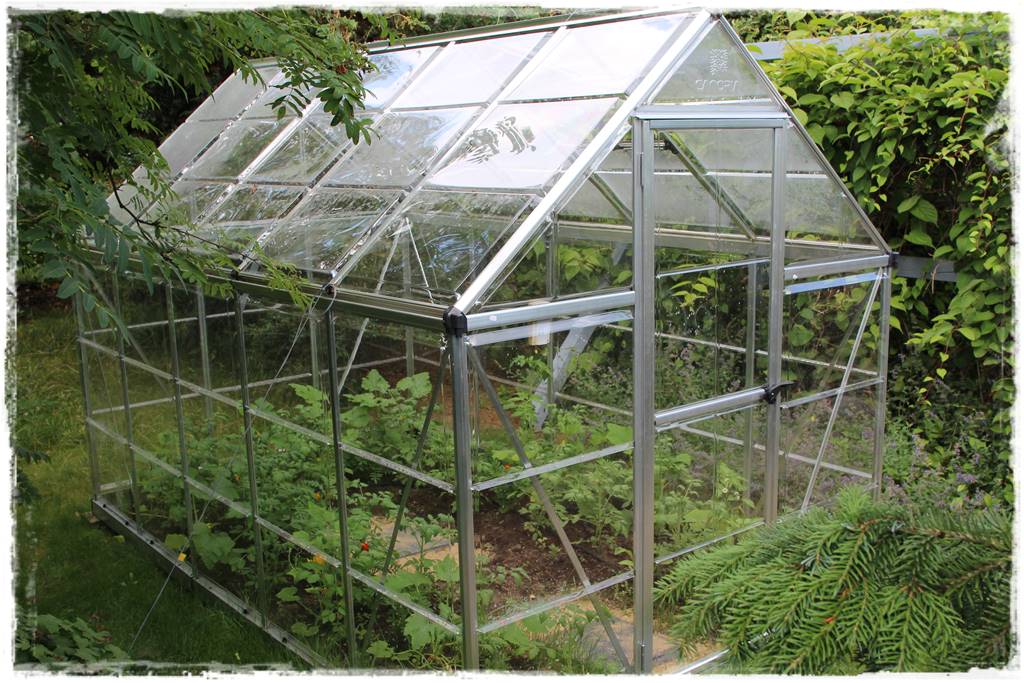 Szklarnia własnej roboty 1b Szklarnia własnej roboty 1b