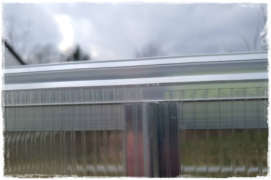 Szklarnia własnej roboty 25