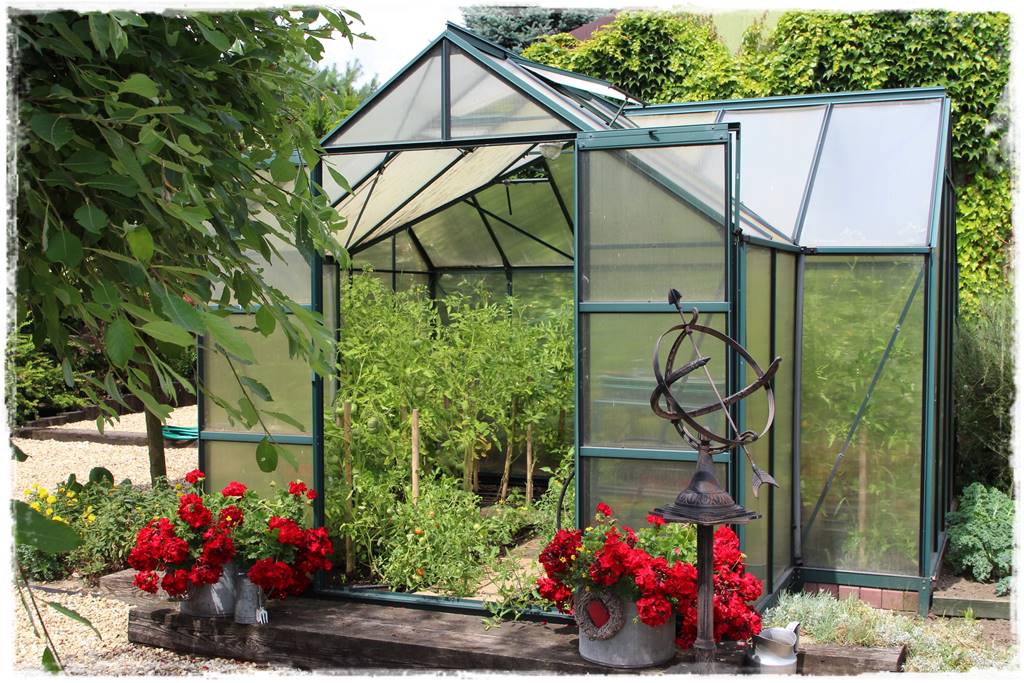 Szklarnia własnej roboty 2a Szklarnia własnej roboty 2a