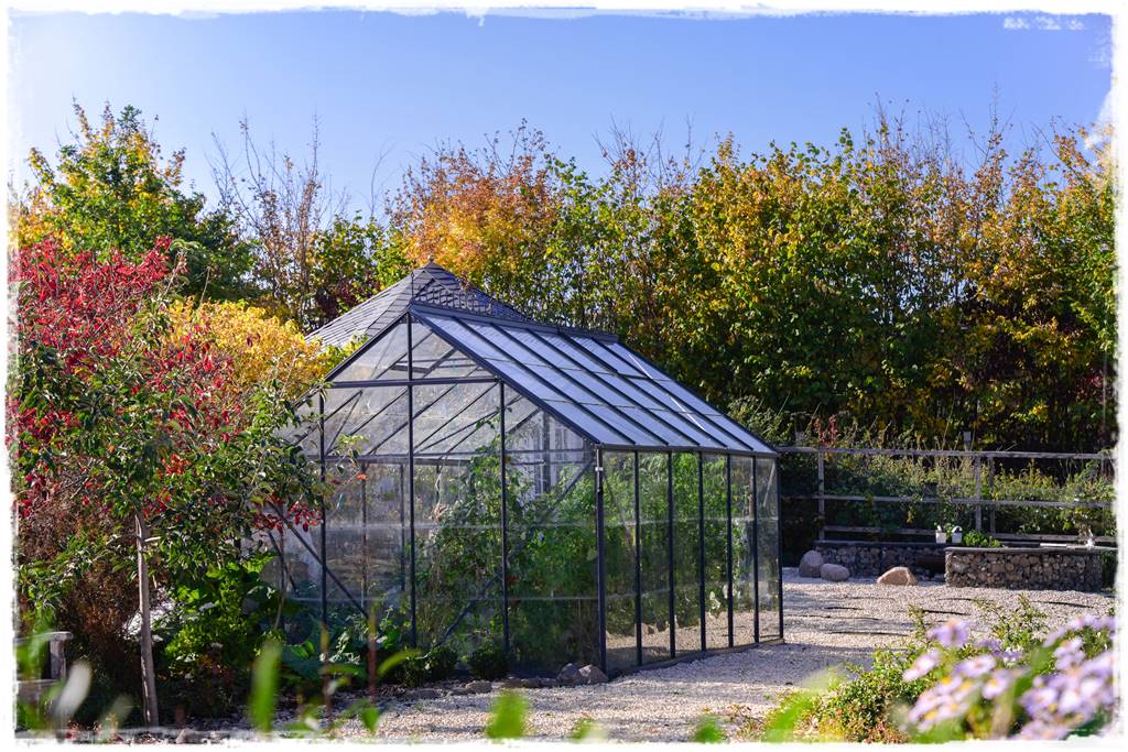 Glasshouse,Or,Greenhouse,In,The,Garden Glasshouse,Or,Greenhouse,In,The,Garden