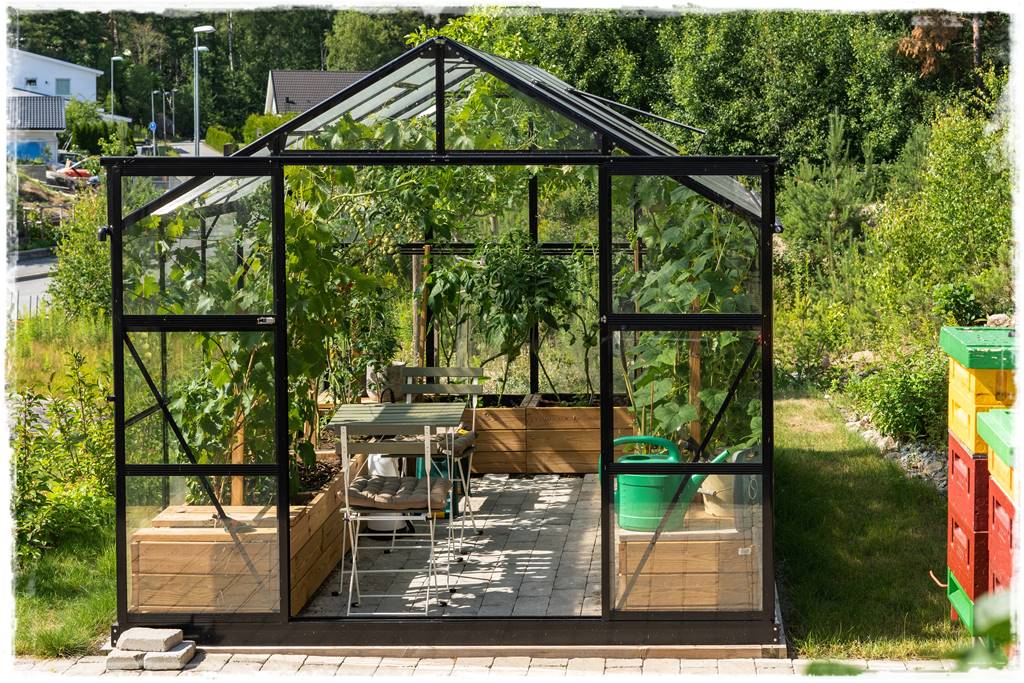 Cherry,Tomatoes,And,Cucumbers.,Varietal,Mini,Tomatoes,Cucumbers,Grow,In Cherry,Tomatoes,And,Cucumbers.,Varietal,Mini,Tomatoes,Cucumbers,Grow,In