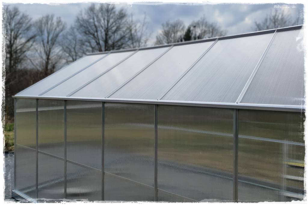 Szklarnia własnej roboty 31b Szklarnia własnej roboty 31b