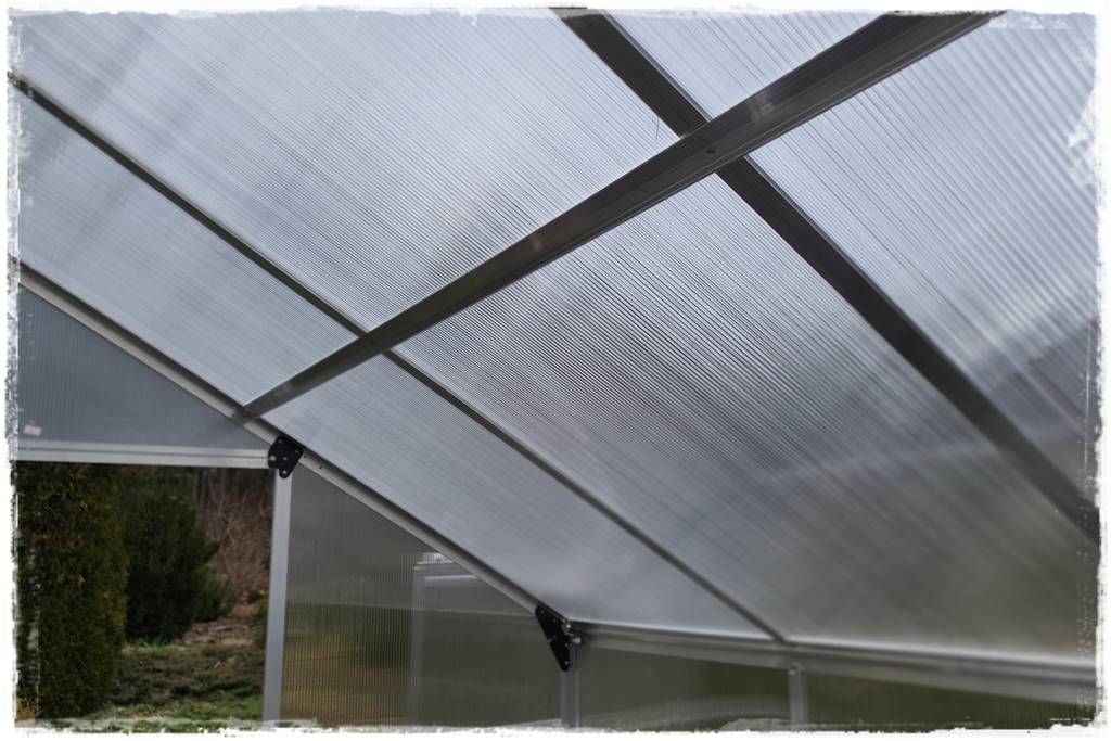 Szklarnia własnej roboty 5