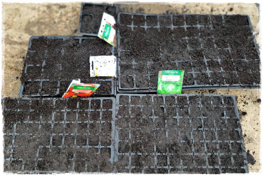 Włóknina ogrodowa 17 Włóknina ogrodowa 17