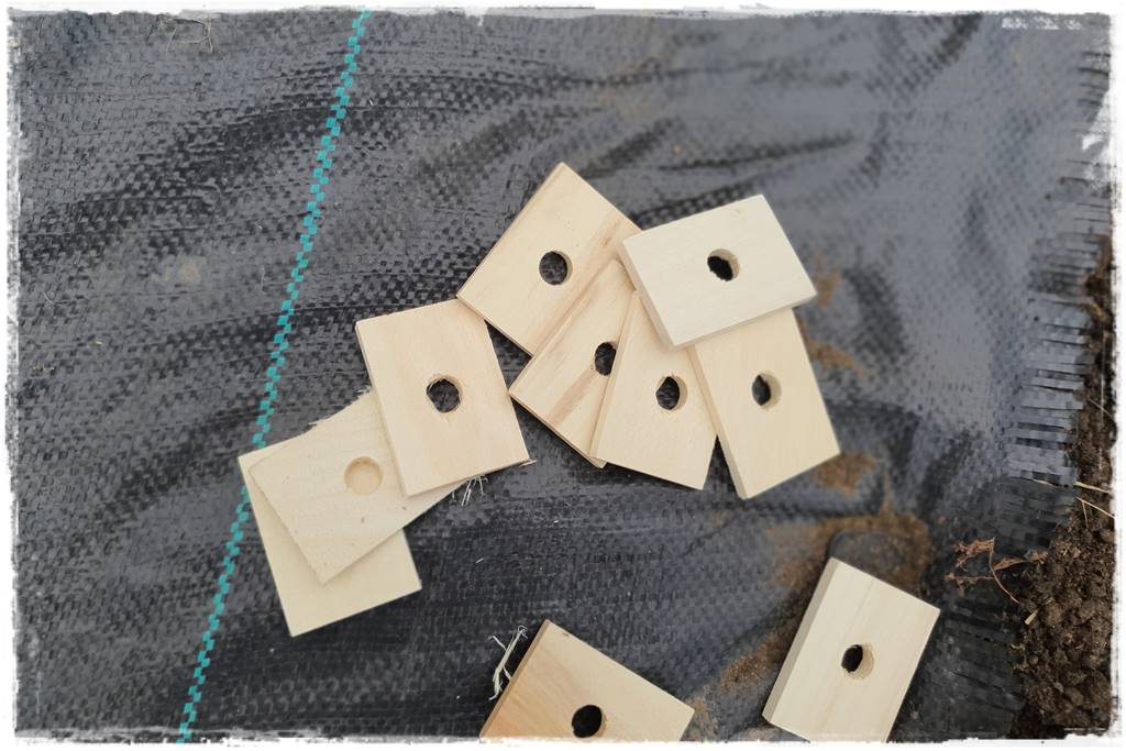 Włóknina ogrodowa 31 Włóknina ogrodowa 31