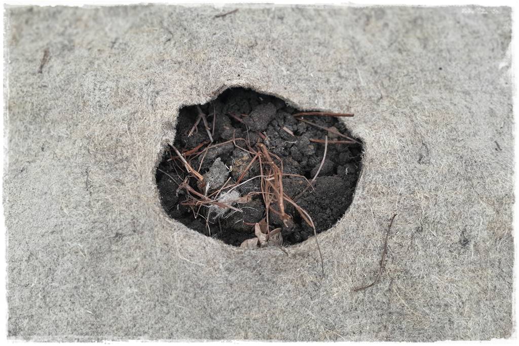 Włóknina ogrodowa 36 Włóknina ogrodowa 36