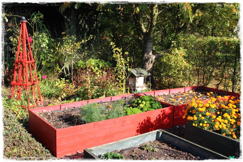 grządki podwyższone 1a