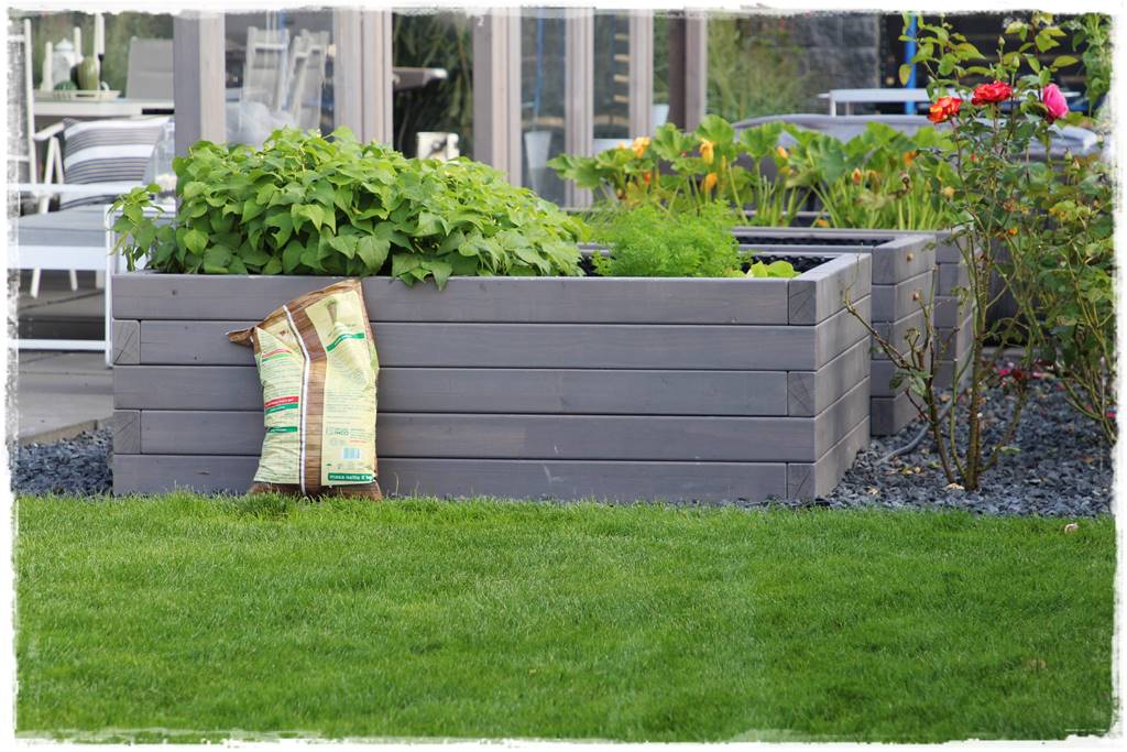 grządki podwyższone 1b