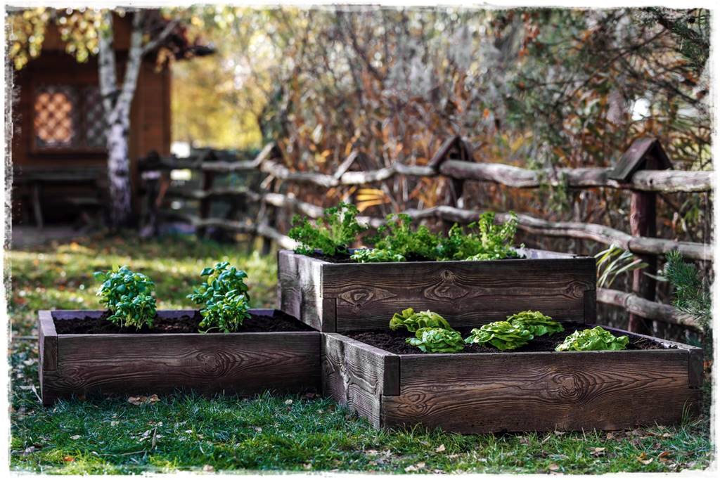 grządki podwyższone 2