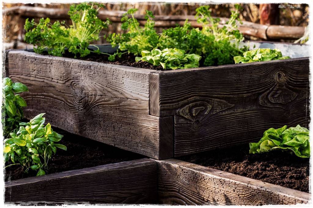 grządki podwyższone 2b