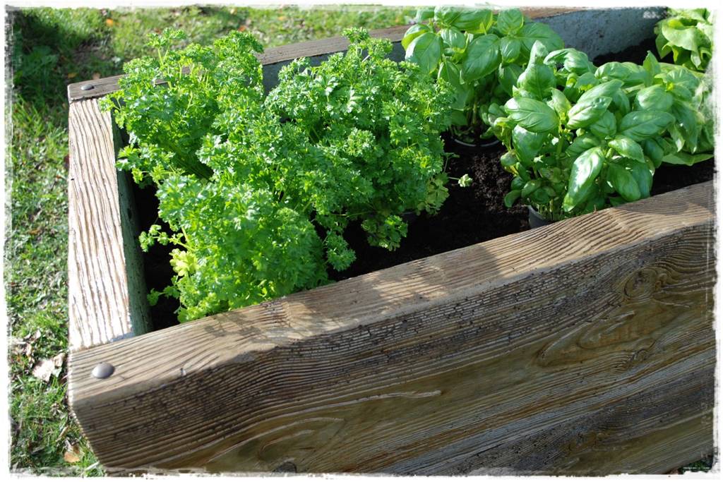 grządki podwyższone 2c