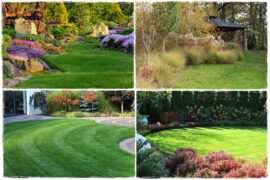 mieszanki trawnikowe 0