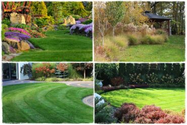 mieszanki trawnikowe 0