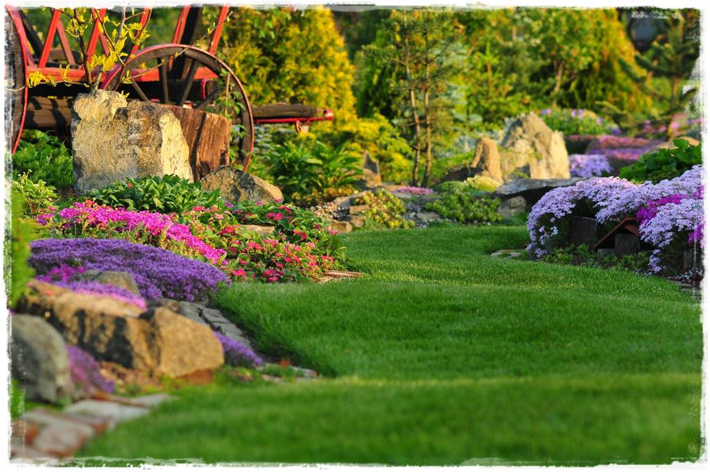 mieszanki trawnikowe 10