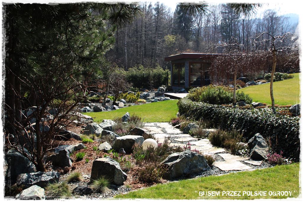 mieszanki trawnikowe 100