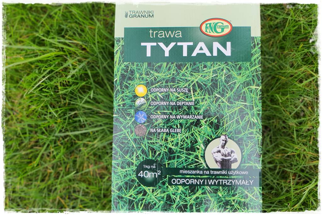 mieszanki trawnikowe 100b