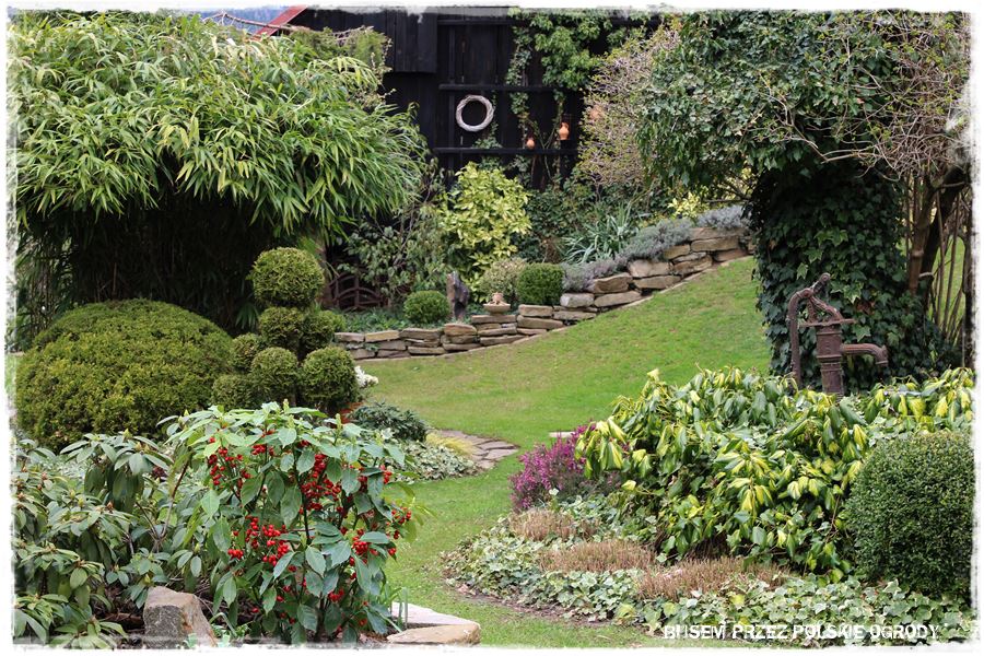 mieszanki trawnikowe 100f